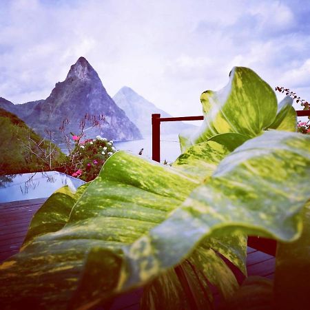 Moringa Villa Studio 1 Soufrière Exterior foto